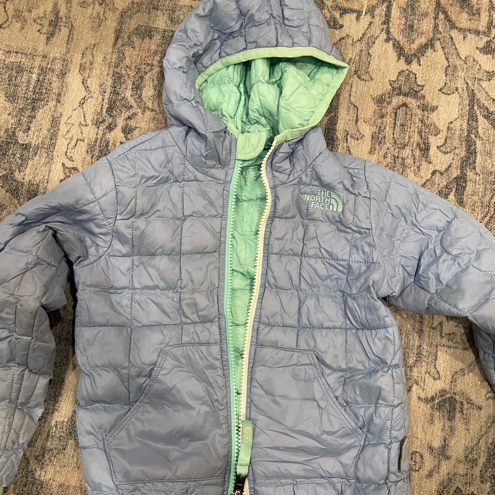 The North Face Blue and Mint Quilted Jacket